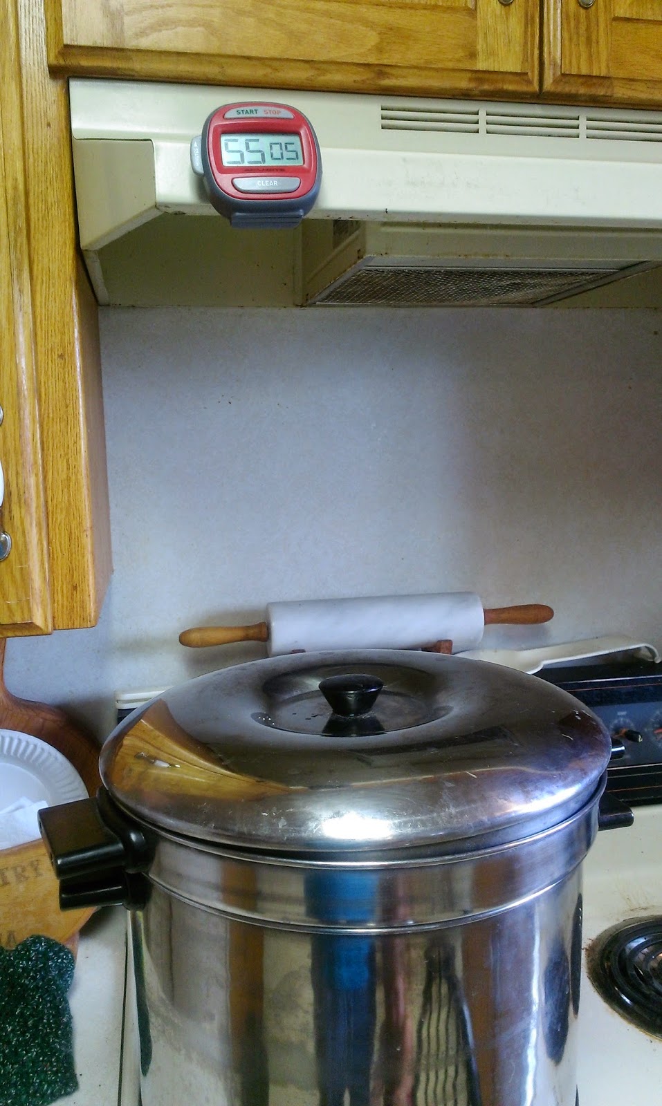 Doing Things Backwards Steam Juicing Plums For The First Time EASY 5 Steps